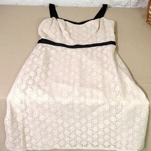 LOFT Lace Dress Cream and Black Size 8 Petite